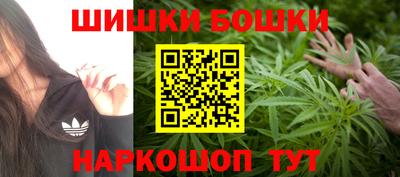 шишки Заволжье