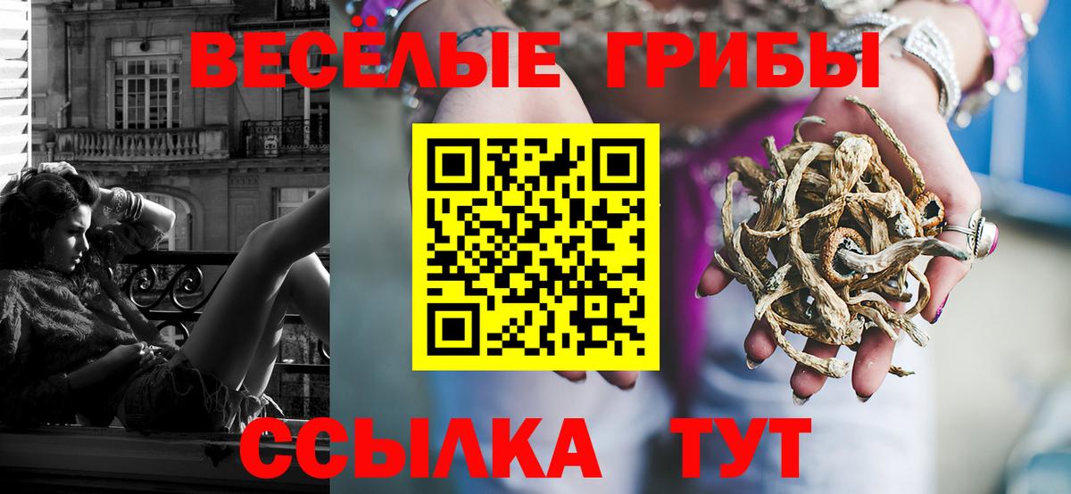 Псилоцибиновые грибы мицелий Иркутск